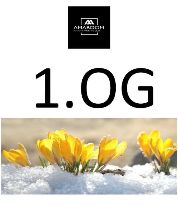 Amaroom Karlsruhe Kültér fotó